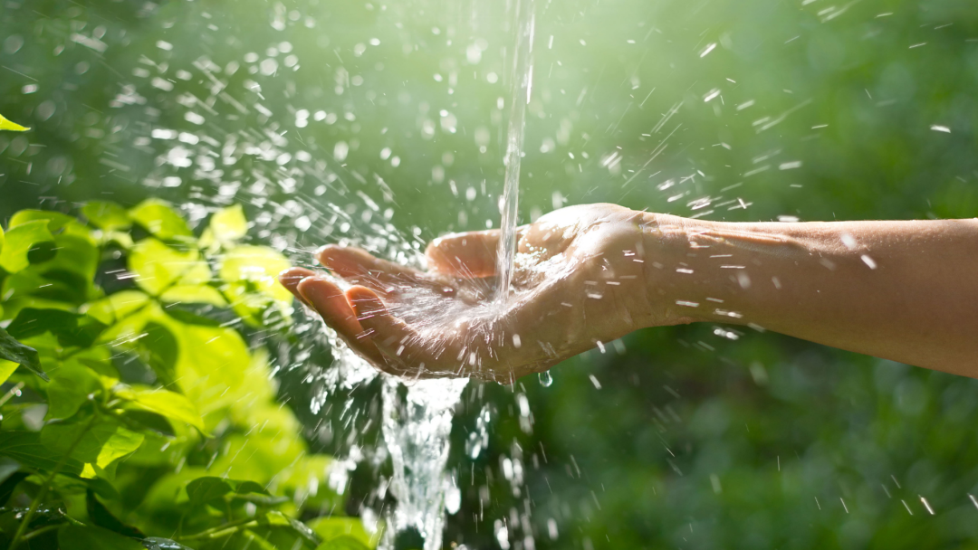 Environmental Compliance